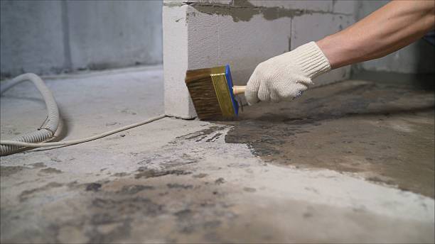 SJ Waterproofing Pros Waterproofing coverage map for West Olive, MI and surrounding area